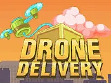 Drone Delivery